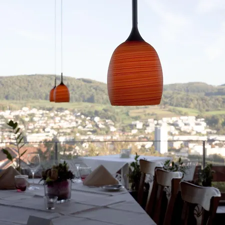 酒店 Restaurant-hotel Maien 罗拉赫