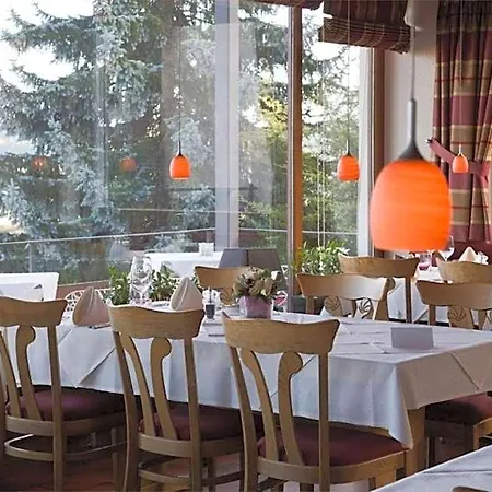 Hotell Restaurant-Hotel Maien 3*