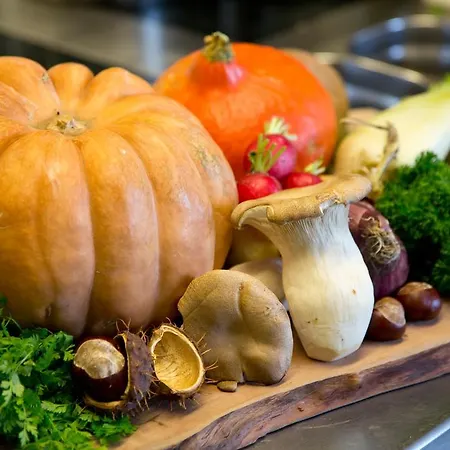 Restaurant-hotel Maien 3* 罗拉赫