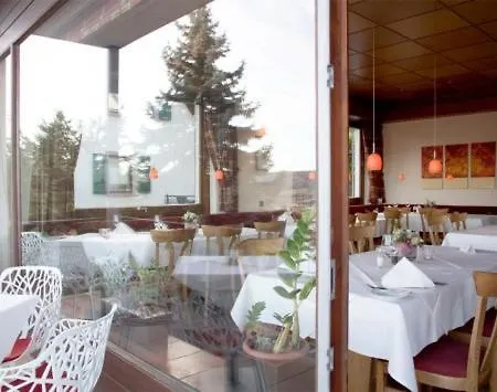 Hotel Restaurant-hotel Maien 3*