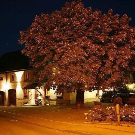 Restaurant-hotel Maien 酒店 罗拉赫