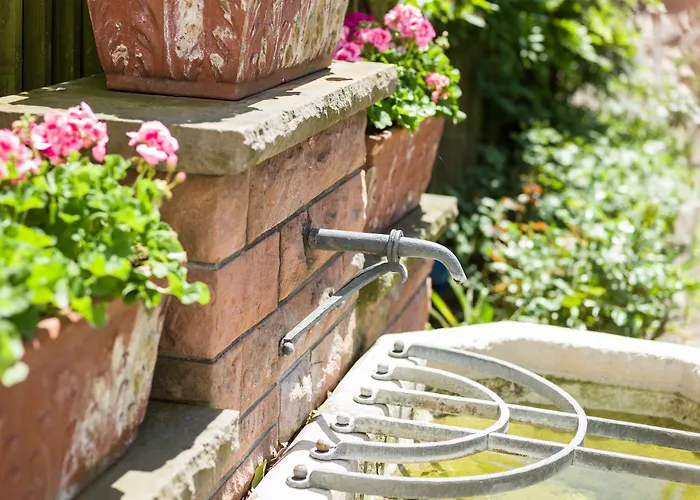 Restaurant-hotel Maien 3*