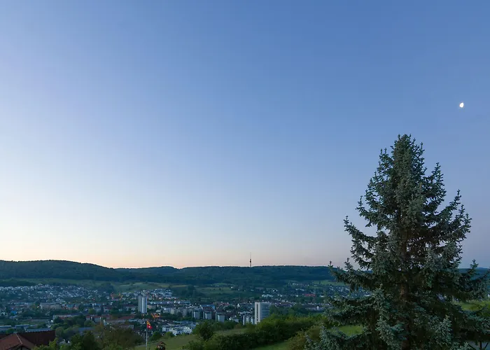 Restaurant-hotel Maien 3* Lörrach